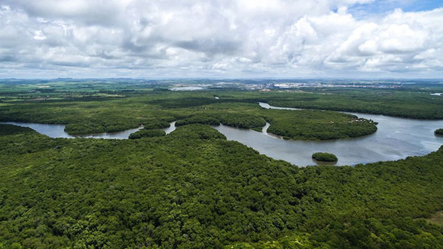 Amazonas, descubre el corazón verde