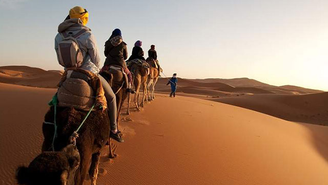 Argelia, expedición al Sahara